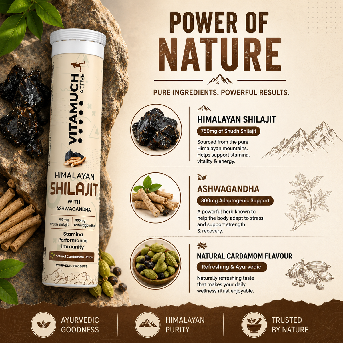 Vitamuch Himalayan Shilajit Effervescent Tablets | Stamina, Energy & Testosterone Booster for Men | With Ashwagandha