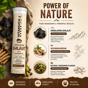 Vitamuch Himalayan Shilajit Effervescent Tablets | Stamina, Energy & Testosterone Booster for Men | With Ashwagandha | 15 Tabs