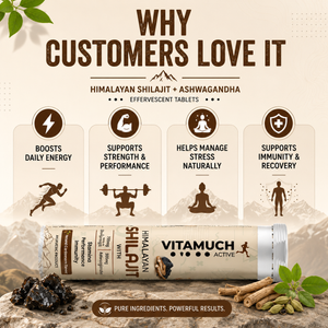 Vitamuch Himalayan Shilajit Effervescent Tablets | Stamina, Energy & Testosterone Booster for Men | With Ashwagandha | 15 Tabs
