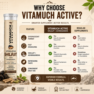 Vitamuch Himalayan Shilajit Effervescent Tablets | Stamina, Energy & Testosterone Booster for Men | With Ashwagandha | 15 Tabs